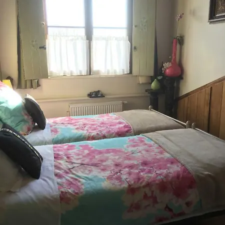 Arte Bed & Breakfast Berlare